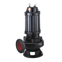 开利WQ180-20-18.5（4极）无堵塞排污泵功率18.5kw流量180扬程20m口径6寸（定制）