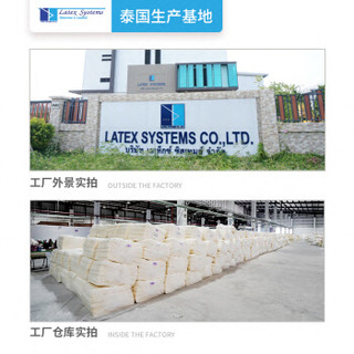 Latex Systems 乳胶枕头 泰国原装进口 天然枕芯 颈椎护颈枕 雪花颗粒枕