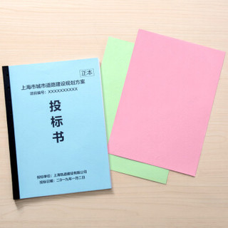 DSB 优质皮纹纸 A3++ 230g 彩色卡纸标书封面纸封皮纸云彩纸办公用品 100张/包 粉红