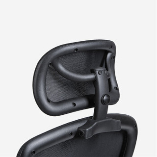 联丰（LIANFENG）人体工学椅家用电脑椅办公椅老板椅DS-80X 黑色