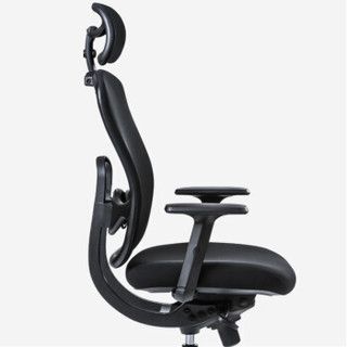 联丰（LIANFENG）人体工学椅家用电脑椅办公椅老板椅DS-80X 黑色