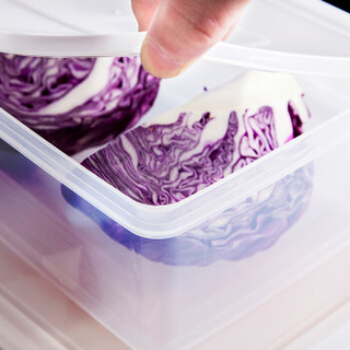 惠而信Welshine 0270-保鲜盒 冰箱收纳盒塑料保鲜盒储物盒 密封盒生鲜蔬菜水果冷藏冷冻盒 3.15L 单个