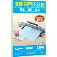 DSB 优质皮纹纸 A3++ 230g 彩色卡纸标书封面纸封皮纸云彩纸办公用品 100张/包 浅绿