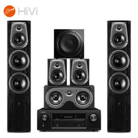 惠威 (HiVi) D50HT+Sub10G+天龙X518功放 音响 家庭影院套装5.1声道HIFI木质客厅电视落地音箱全国免费安装