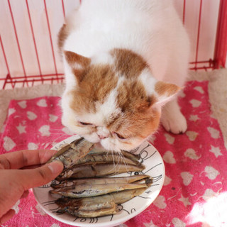 宠侣 宠物零食 猫小鱼 深海洋鱼 100g满籽多春鱼