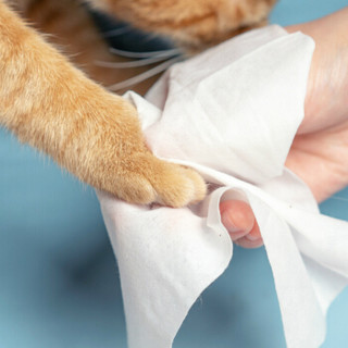 pidan清洁湿巾 80抽*3 宠物湿巾纸猫咪狗狗清洁擦泪痕 无香型