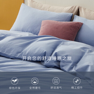 大朴（DAPU）套件 精梳纯棉磨毛四件套 加厚冬季 素色床单被套 浅海蓝 1.8米床 220*240cm