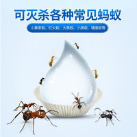 BAYER 拜耳 拜灭易 杀蚁胶饵 5g