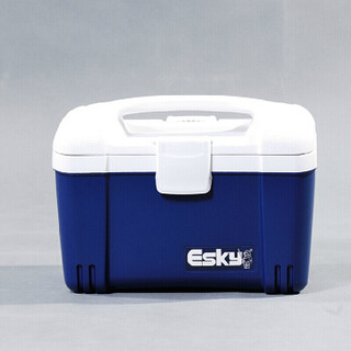 Esky 爱斯基 6L家用户外保温箱便携冷藏箱车载冰块箱PU母乳保鲜包附6冰袋