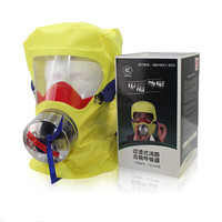 友安 逃生面具 过滤式自救呼吸器防毒面罩酒店家用 火灾消防面具 高级防护头罩 食品级硅胶TZL30A