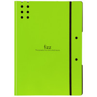飞兹(fizz)高质感A4加厚试卷夹/文件夹板/资料夹/办公用品 绿色A6382