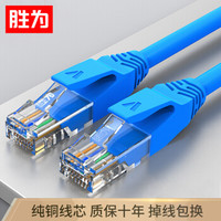 胜为（shengwei）超五类网线 cat5e类百兆纯铜 1米 蓝色 电脑/路由器/宽带成品连接跳线 LC-2010C