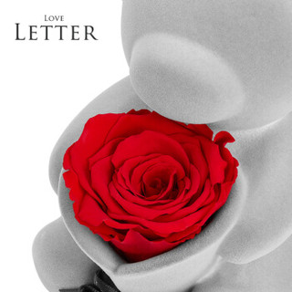 Love Letter 熊的花园永生花玫瑰花礼盒音乐盒创意摆件八音盒情侣生日礼物 女生 一生守护