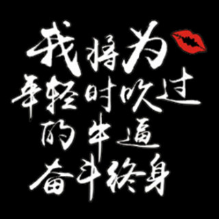 萱胜特防水防晒反光车贴为吹过的牛逼奋斗终身白字19*17cm