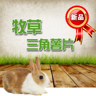 R&M 兔子零食 成兔幼兔粮食食品 豚鼠龙猫小宠物磨牙零食休闲食物 牧草三角薯片 6片/包