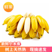 微信端：广西小米蕉香蕉 糯米蕉 坏果包赔 5斤装