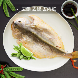 三都港 冷冻三去大黄鱼400g(赠料包) 黄花鱼 深海鱼 生鲜鱼类 海鲜水产