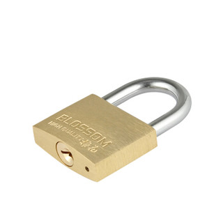 梅花（BLOSSOM）铜挂锁 同花锁通开锁互开锁 防水防锈室内锁外机箱电表箱柜门锁35mm（6把装）