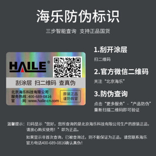 海乐（Haile）XC-10 线槽PVC阻燃绝缘 地线墙线/电线走线/网络电缆桥架线槽 100*60 1米/根 2根装