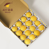 安岳 黄柠檬特级大果 16个 单果130-160g