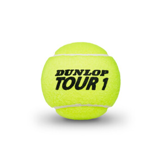 HEAD 海德 登路普DUNLOP 4粒装网球TOUR PERFORMANCE系列训练比赛用球胶罐 DTB601328 浅绿色 4粒装单筒