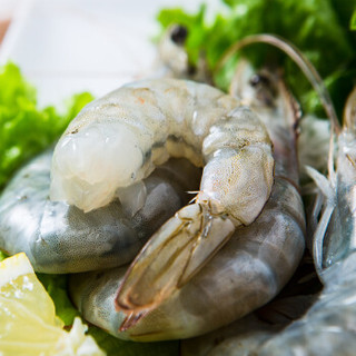 大洋世家 冷冻原装进口秘鲁白虾40/50 净重1.4kg 大号虾 生鲜海鲜水产