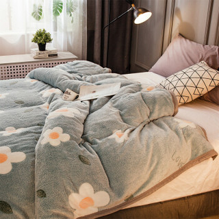 南极人NanJiren 毛毯 法兰绒毯子珊瑚绒午睡毯盖毯 空调小被子毛巾被床单 香韵 150*200cm