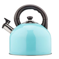 维艾（Newair）烧水壶 304不锈钢水壶 4L鸣音 燃气电磁炉通用 蓝色