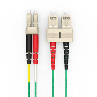 胜为（shengwei）电信级万兆铠装光纤跳线 LC-SC网线多模双芯10米 OM3室内抗拉尾纤缆 FOCK-2100