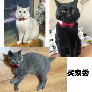 吉仔仔 宠物猫狗领结 泰迪博美狗狗结婚饰品 喜庆节日红蝴蝶结狗狗领结 L