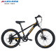 XDS 喜德盛 中国风 100009812032 儿童自行车 黑色20寸