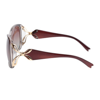 益盾（YIDUN）太阳镜墨镜眼镜防紫外线偏光驾驶镜大框女款