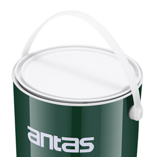 antas环保洁白水性面漆 内墙乳胶漆白色面漆 不可调色油漆涂料5L/7KG