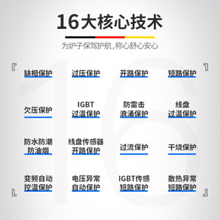 德玛仕（DEMASHI）大功率商用电磁炉 电磁大锅灶 学校食堂酒店厨房设备 12/15kw双头单尾爆炒炉(201)