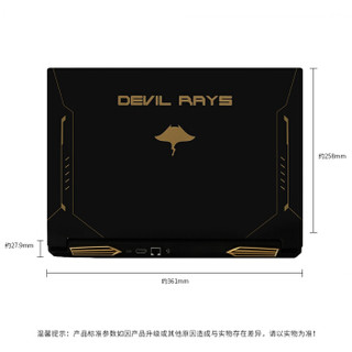 未来人类魔鬼鱼DR5金锐之师15.6英寸240Hz窄边轻薄游戏笔记本电脑(i7-9750H RTX2060 16G 512GB PCIe SSD+1T)