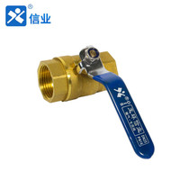信业 黄铜球阀 全铜内螺纹球阀大体216 开关阀门 6分DN20 5只