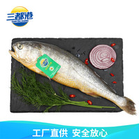 三都港 深海有机宁德大黄花鱼500g 海鲜水产 生鲜 海鲜礼盒