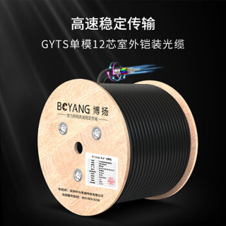 博扬（BOYANG）BY-GYTS-12B1 铠装12芯单模室外光缆 GYTS层绞式室外架空/管道网线光纤线 3000米/轴