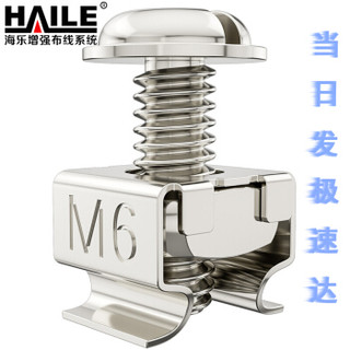 海乐（Haile）LS-M6-40 M6号高品质机柜专用十字螺丝 40套/袋