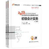 东奥备考2020初级会计职称教材 初级会计职称 初级会计实务 轻松过关1《应试指导及全真模拟测试》（套装上下册）