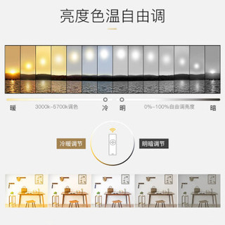 美的（Midea）LED吸顶灯客厅餐厅全屋灯具浪漫简约现代智能调色调光遥控长方形繁花56W