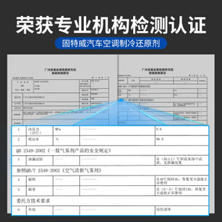 固特威（Glodway）汽车空调制冷剂 冰点还原剂 r134a冷媒雪种氟利昂车用空调制冷器免拆降温神器KB-2019C