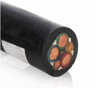 晶花国标重型橡套线 软橡套线 电线 电缆 YC 3*50+1*16 1米 （百米起售）