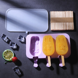 帕帕罗蒂（PAPAROTTY）雪糕模具2套 硅胶冰淇淋模具冰棒模具 自制做冰糕冰棒冰棍棒冰磨具套装家用