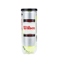 威尔胜（Wilson）WRT1021新款威尔胜网球 训练专用网球 金属罐3粒装