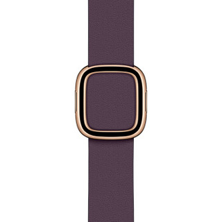 Apple 40 毫米茄紫色现代风扣式表带 - 中号