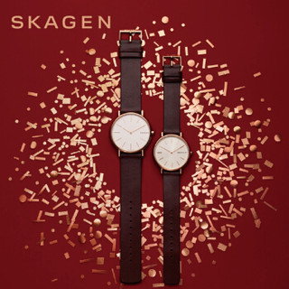 SKAGEN 诗格恩 SKW8200 中性石英手表