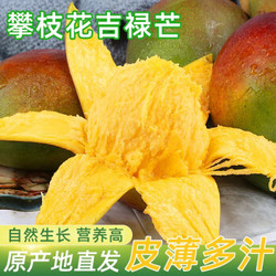 四川攀枝花吉禄芒果 苹果芒热带水果 精选3斤（ 单果150g以上 ）