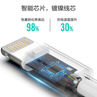 睿能宝（RAVPower）MFi认证苹果数据线 适用iphoneXs Max/XR/X/8/7/6s/ipad手机快充充电线1米 CB030