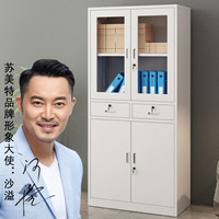 苏美特文件柜办公柜钢制铁皮柜资料柜档案柜储物柜中二斗文件柜